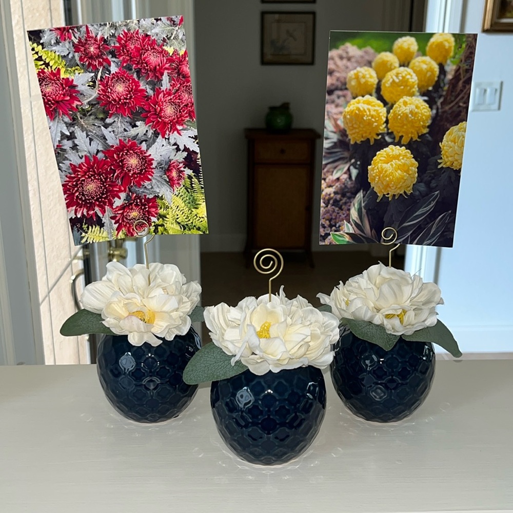 Set of 3 photo holders
